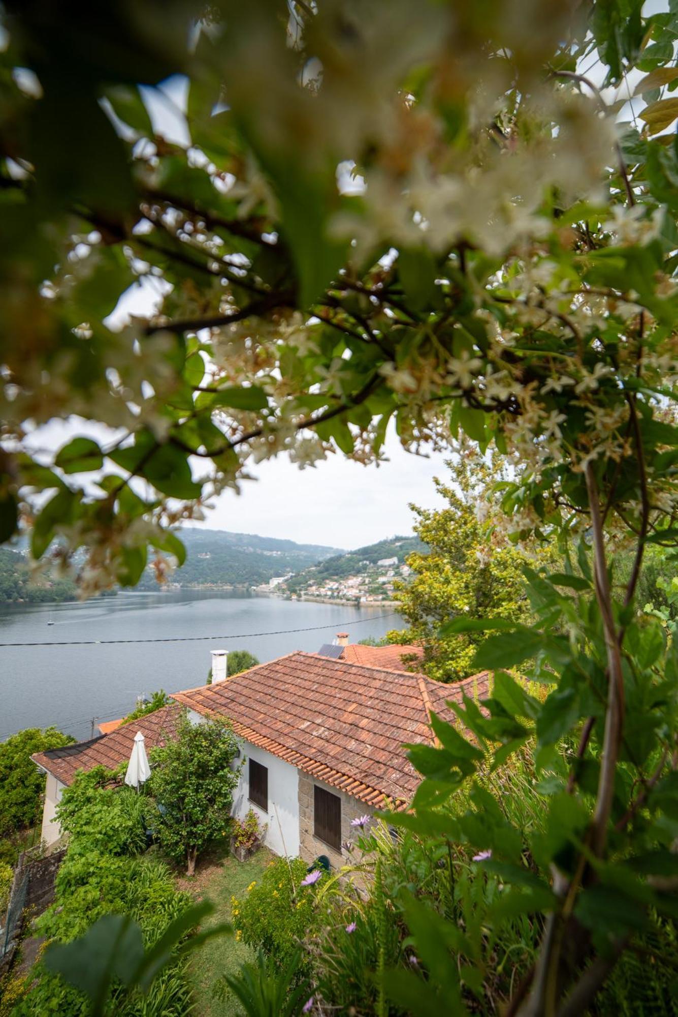 Villa Casa Da Torre, Porto Manso Ribadouro Exterior foto
